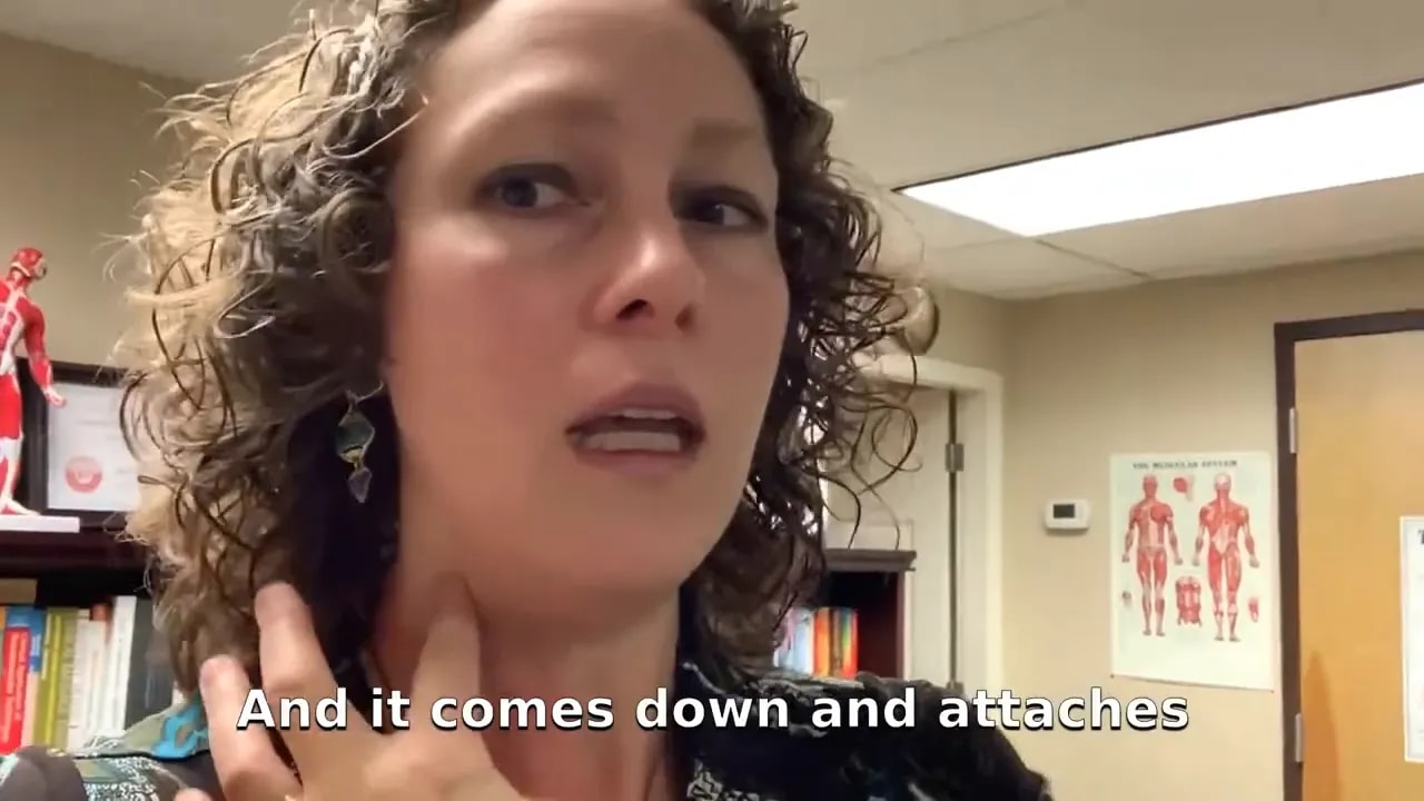 Hand on the side of the neck indicating the path of the sternocleidomastoid muscle